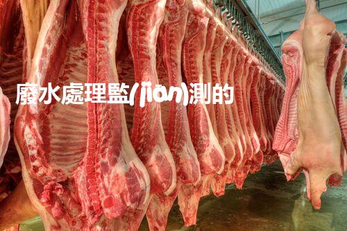 廢水處理監(jiān)測的以后：智能化與高效性？